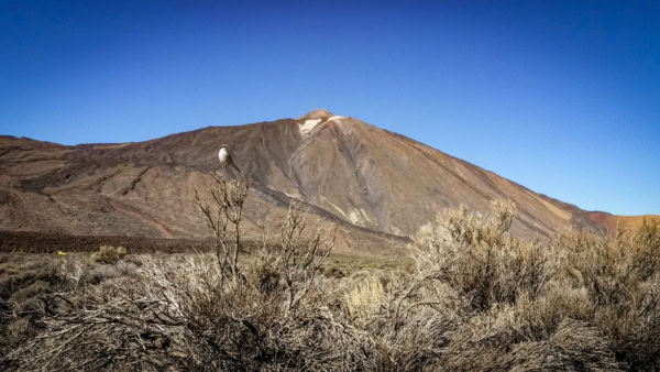 Teide Nationalpark
