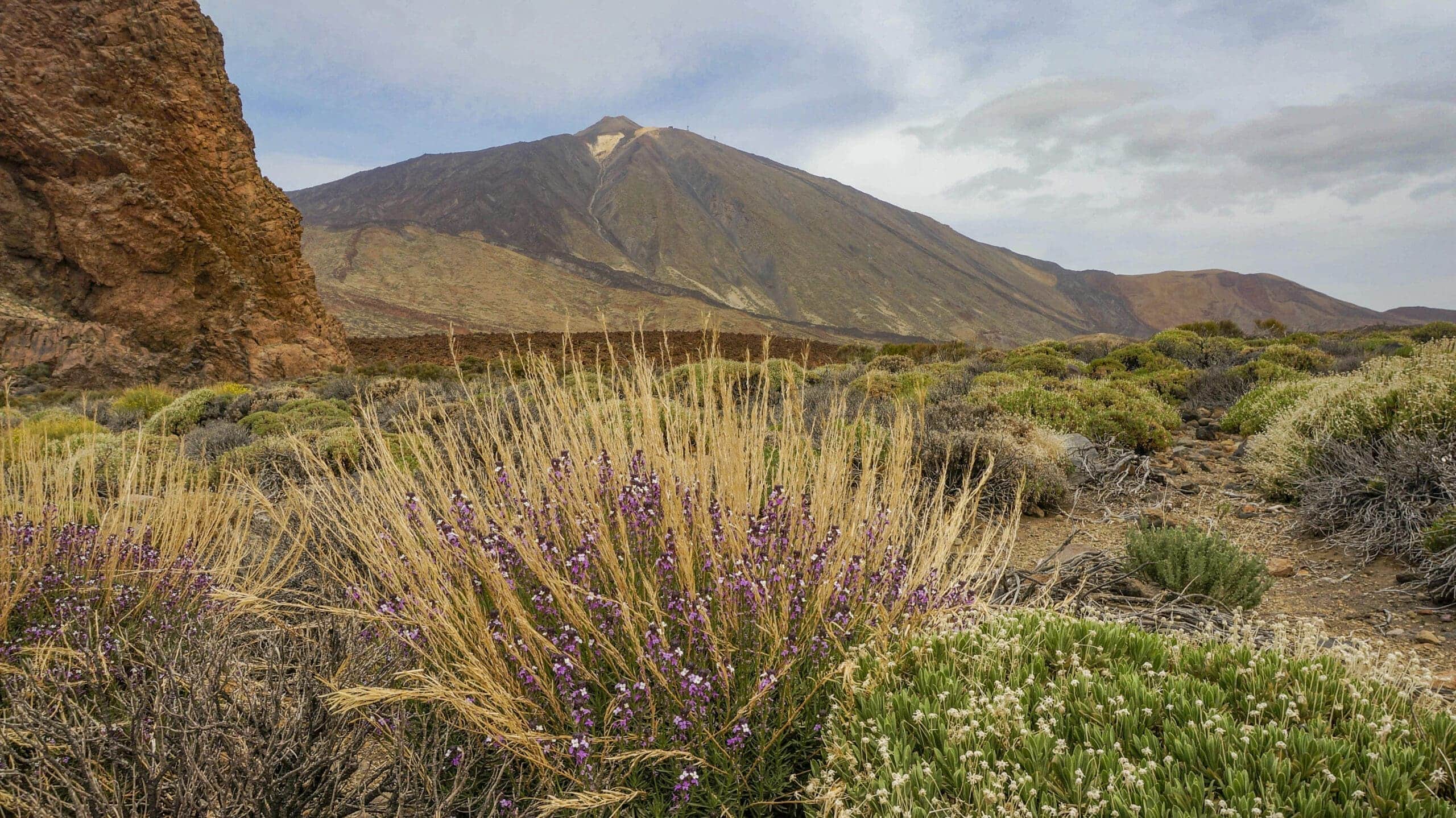 Teide Nationalpark 20 Teide Nationalpark – Bild 20