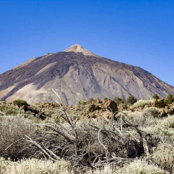 Teide Nationalpark – Bild 3