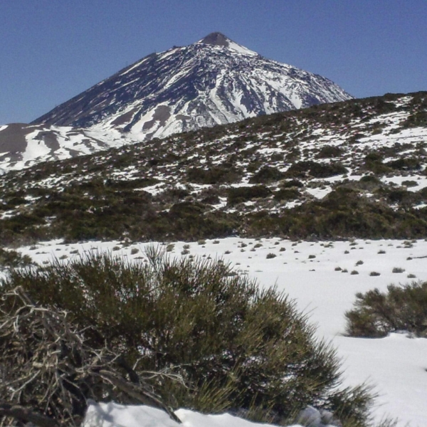 Teide Nationalpark – Bild 21