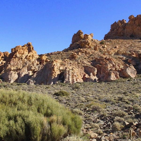 Teide Nationalpark – Bild 22