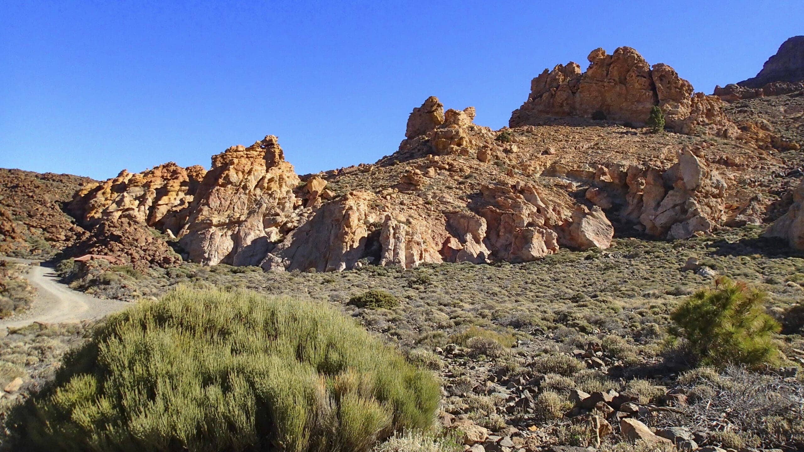 Teide Nationalpark 22 Teide Nationalpark – Bild 22
