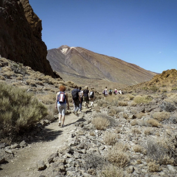 Teide Nationalpark – Bild 24