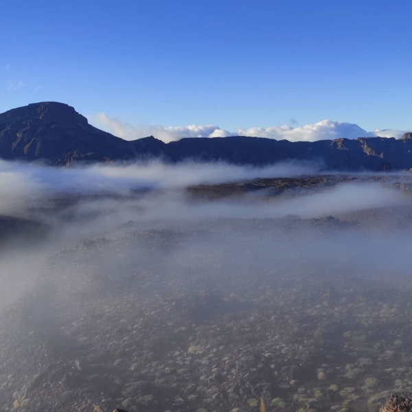 Teide Nationalpark – Bild 28