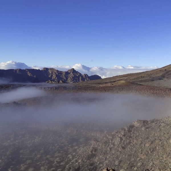 Teide Nationalpark – Bild 29