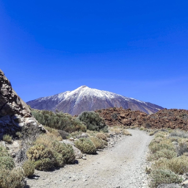 Teide Nationalpark – Bild 30