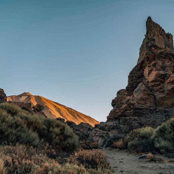 Teide Nationalpark – Bild 34