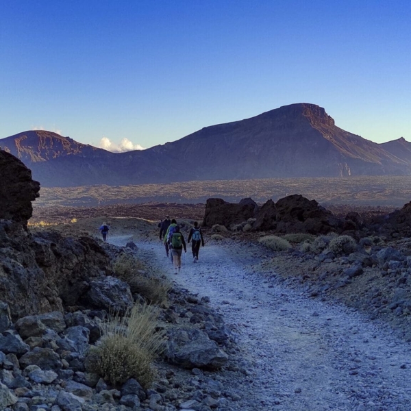 Teide Nationalpark – Bild 6