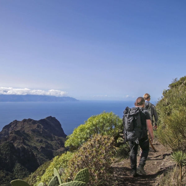 Wandern & Delfine – Bild 11