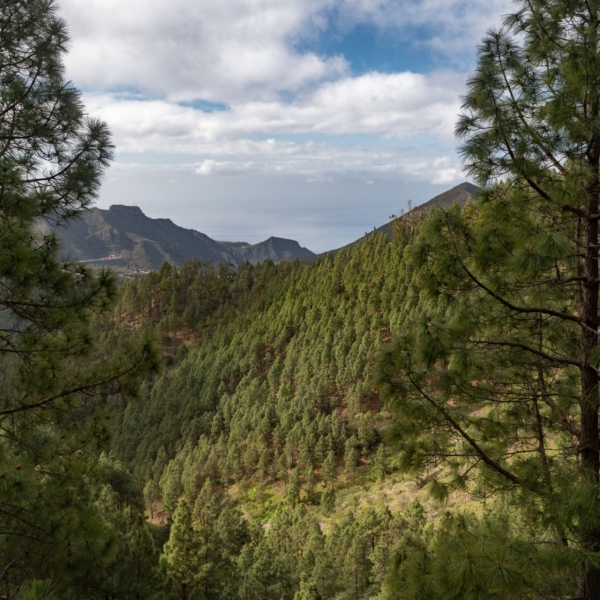 Wandern & Delfine – Bild 24