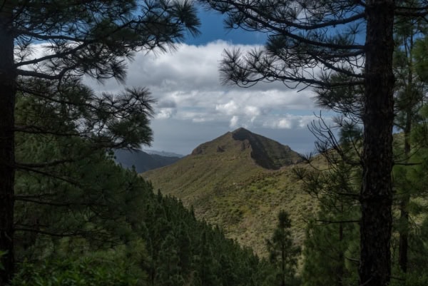 Wandern & Delfine