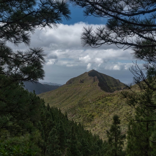 Wandern & Delfine – Bild 25