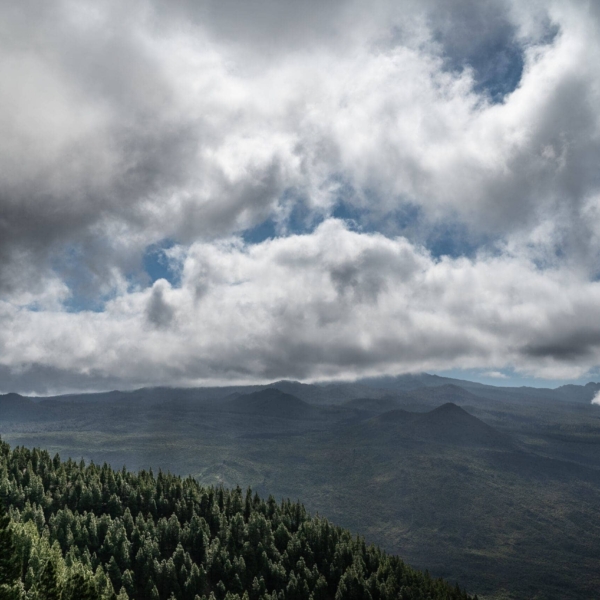 Wandern & Delfine – Bild 27