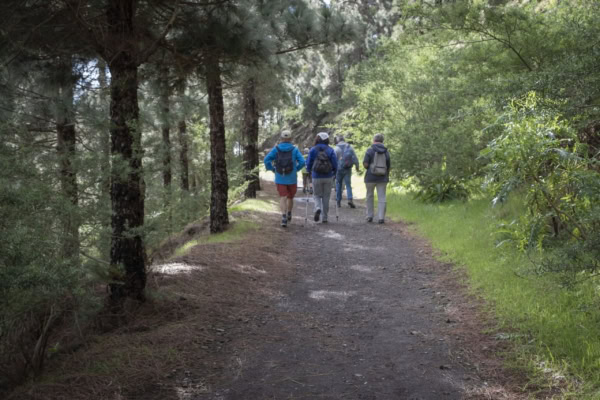 Wandern & Delfine