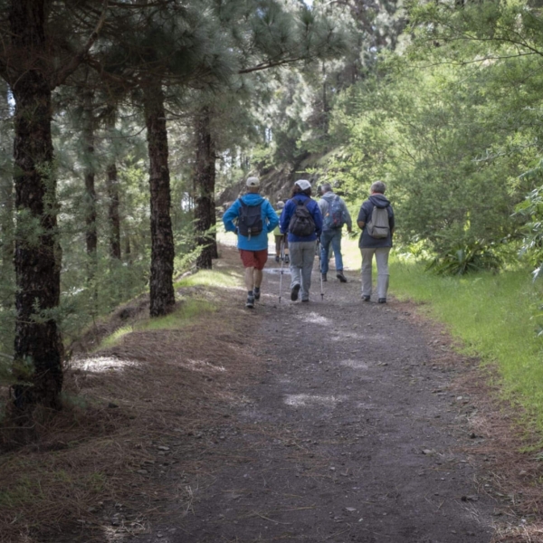 Wandern & Delfine – Bild 6