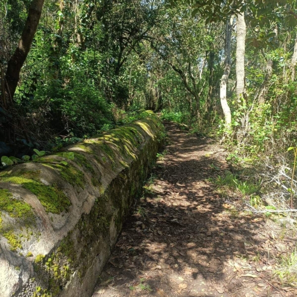Wunderschönes Orotavatal – Bild 3