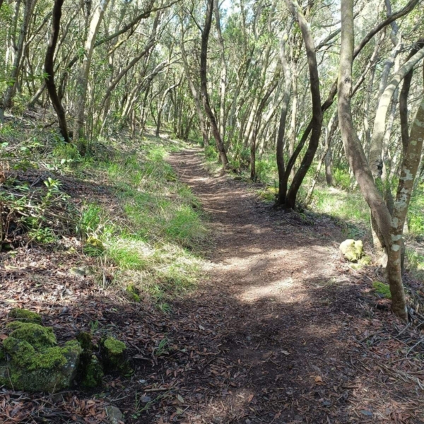 Wunderschönes Orotavatal – Bild 12