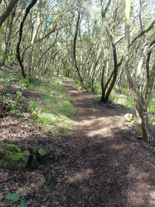 Wunderschönes Orotavatal